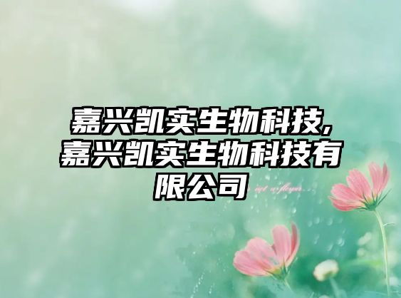 玉翠科技網(wǎng)