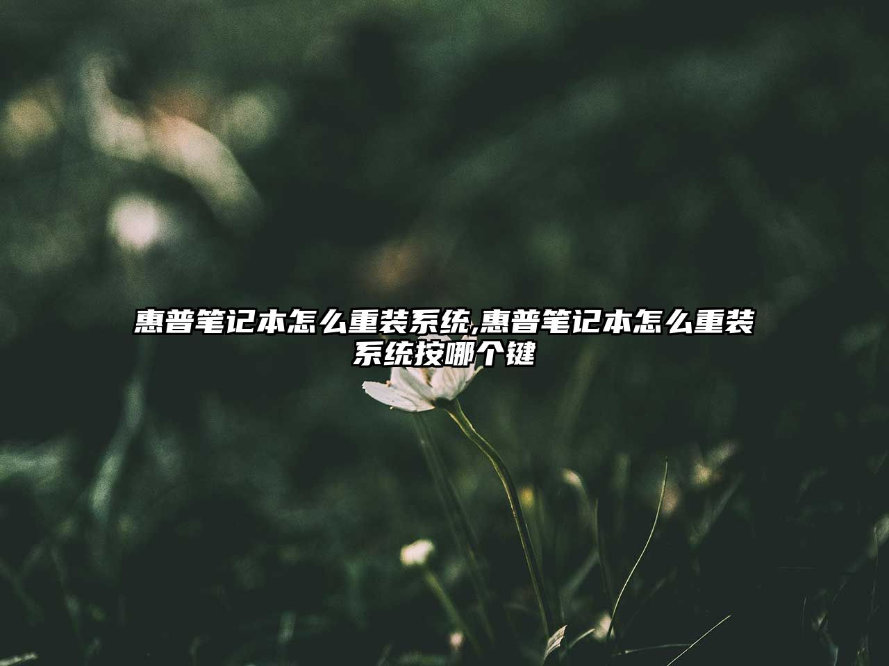 玉翠科技網(wǎng)