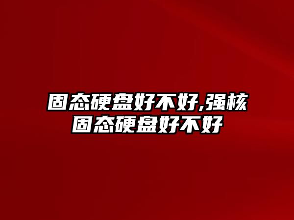 固態(tài)硬盤好不好,強(qiáng)核固態(tài)硬盤好不好