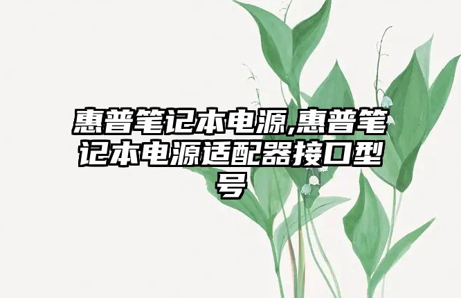 惠普筆記本電源,惠普筆記本電源適配器接口型號