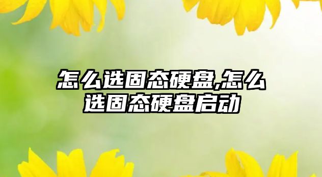 怎么選固態(tài)硬盤,怎么選固態(tài)硬盤啟動