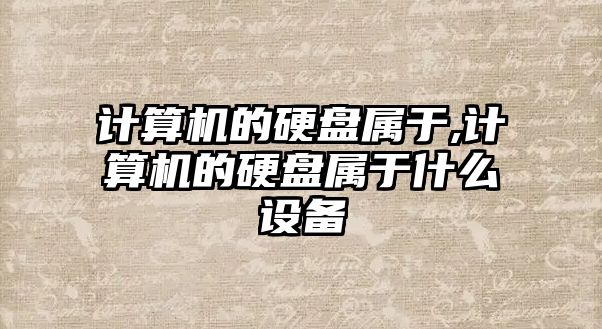 計算機的硬盤屬于,計算機的硬盤屬于什么設(shè)備