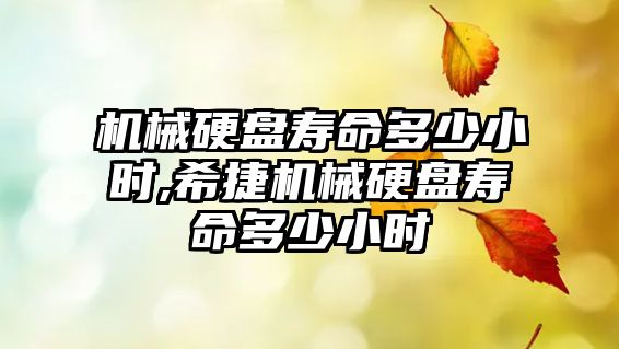 玉翠科技網(wǎng)