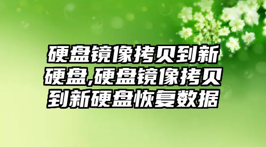 硬盤鏡像拷貝到新硬盤,硬盤鏡像拷貝到新硬盤恢復(fù)數(shù)據(jù)