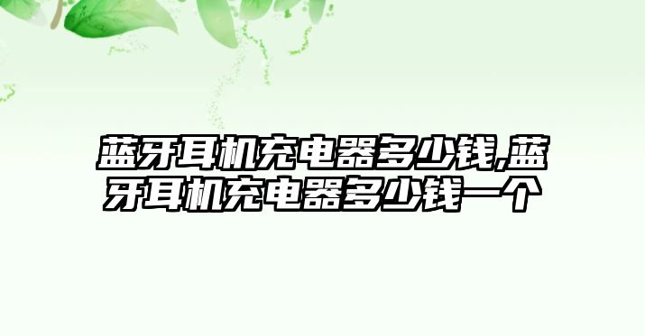 藍牙耳機充電器多少錢,藍牙耳機充電器多少錢一個