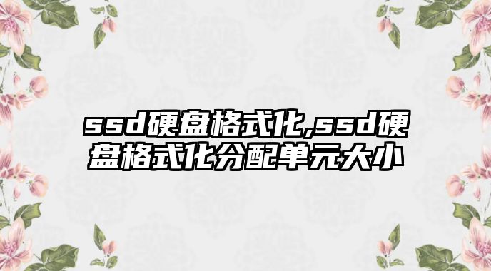 ssd硬盤(pán)格式化,ssd硬盤(pán)格式化分配單元大小