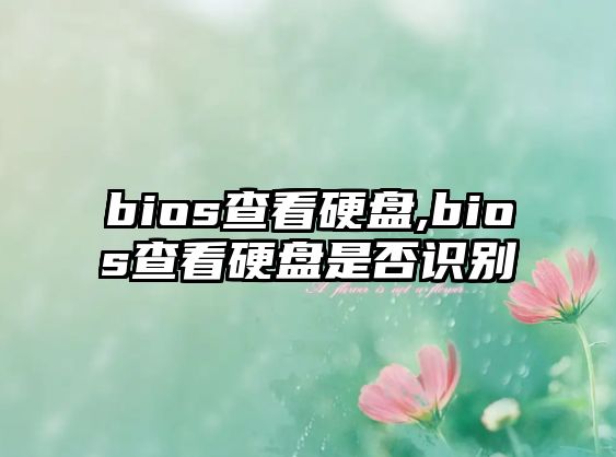 bios查看硬盤(pán),bios查看硬盤(pán)是否識(shí)別