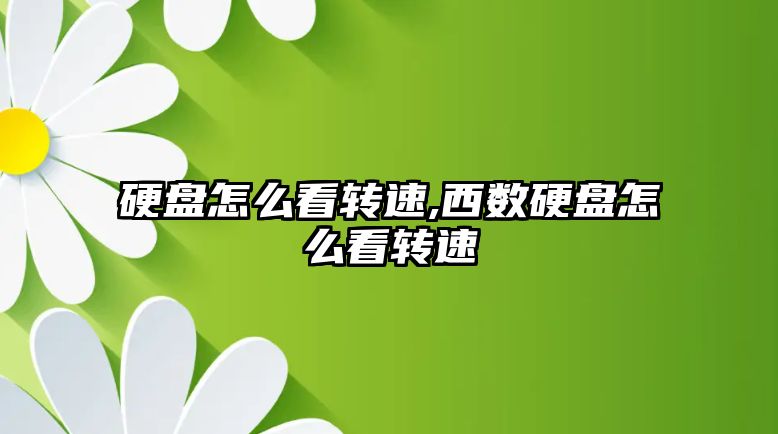 玉翠科技網(wǎng)