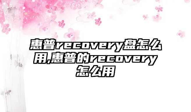 惠普recovery盤怎么用,惠普的recovery怎么用