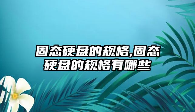 固態(tài)硬盤的規(guī)格,固態(tài)硬盤的規(guī)格有哪些