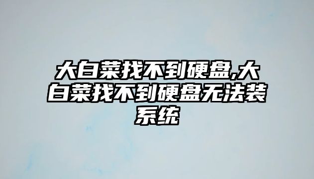 大白菜找不到硬盤(pán),大白菜找不到硬盤(pán)無(wú)法裝系統(tǒng)