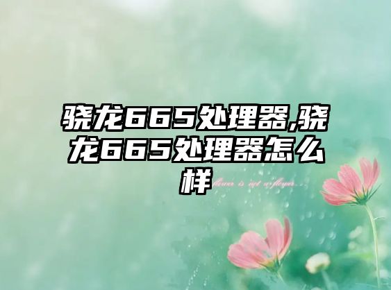 驍龍665處理器,驍龍665處理器怎么樣