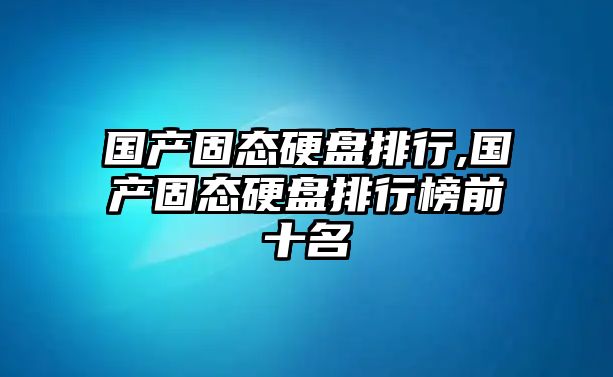 國產(chǎn)固態(tài)硬盤排行,國產(chǎn)固態(tài)硬盤排行榜前十名